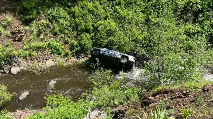 Perro ayuda a rescatar a su dueño después de un accidente en Oregon