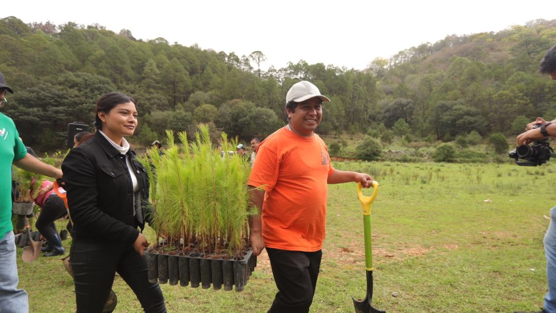 Promueve SEDEA reforestación en San Joaquín
