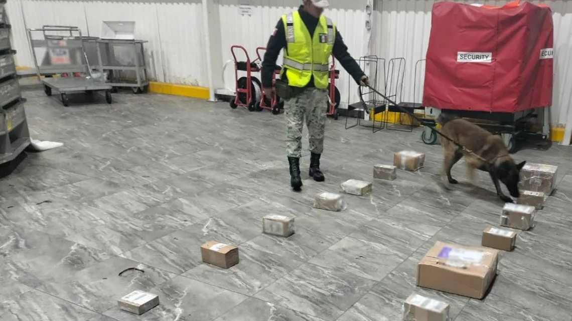Decomisan marihuana en Aeropuerto de Toluca