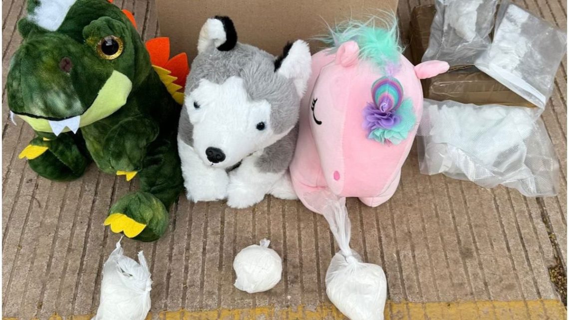 GN Descubre Droga Oculta en Peluches en Empresa de Mensajería en Sinaloa