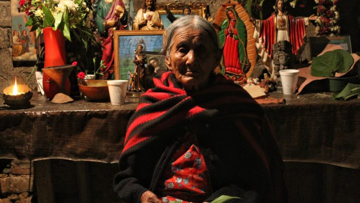 Hongos sagrados: la medicina ancestral frente a la despenalización y el turismo