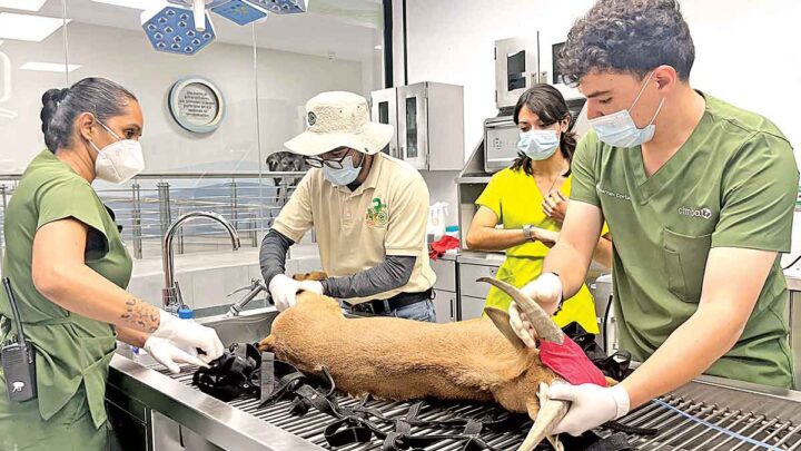 Zoológico de Guadalajara, una Arca de Noé en la urbe
