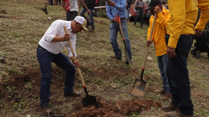 Promueve SEDEA reforestación y restauración de suelos en Cadereyta