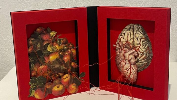 Inicia en Galería Libertad octava Temporada de Exposiciones 2024