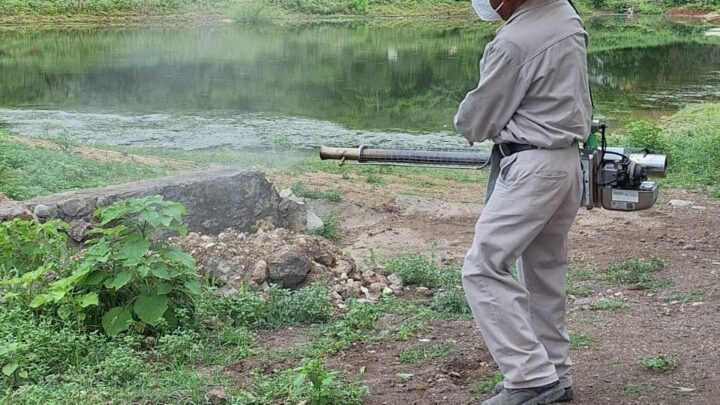 La participación de la población es importante para combatir el dengue