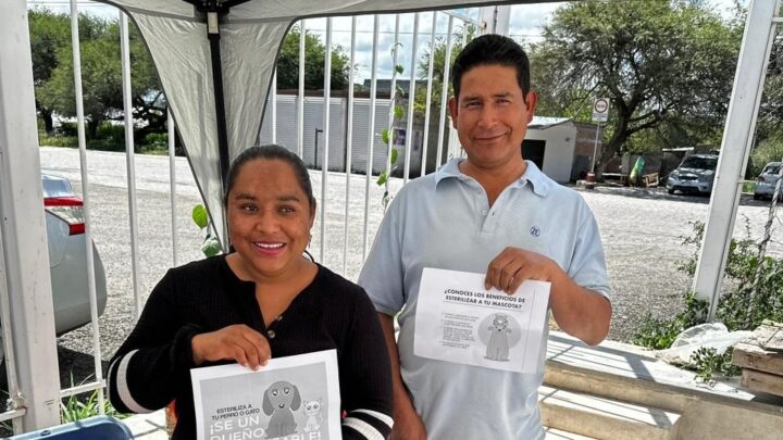 Realiza SESA Jornada de Esterilización Canina y Felina en San Vicente Ferrer