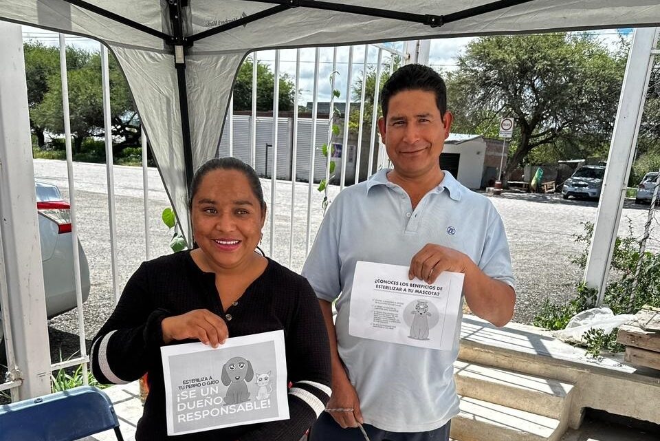 Realiza SESA Jornada de Esterilización Canina y Felina en San Vicente Ferrer
