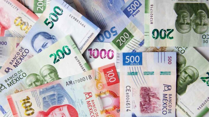 Inflación se desacelera en la primera quincena de agosto