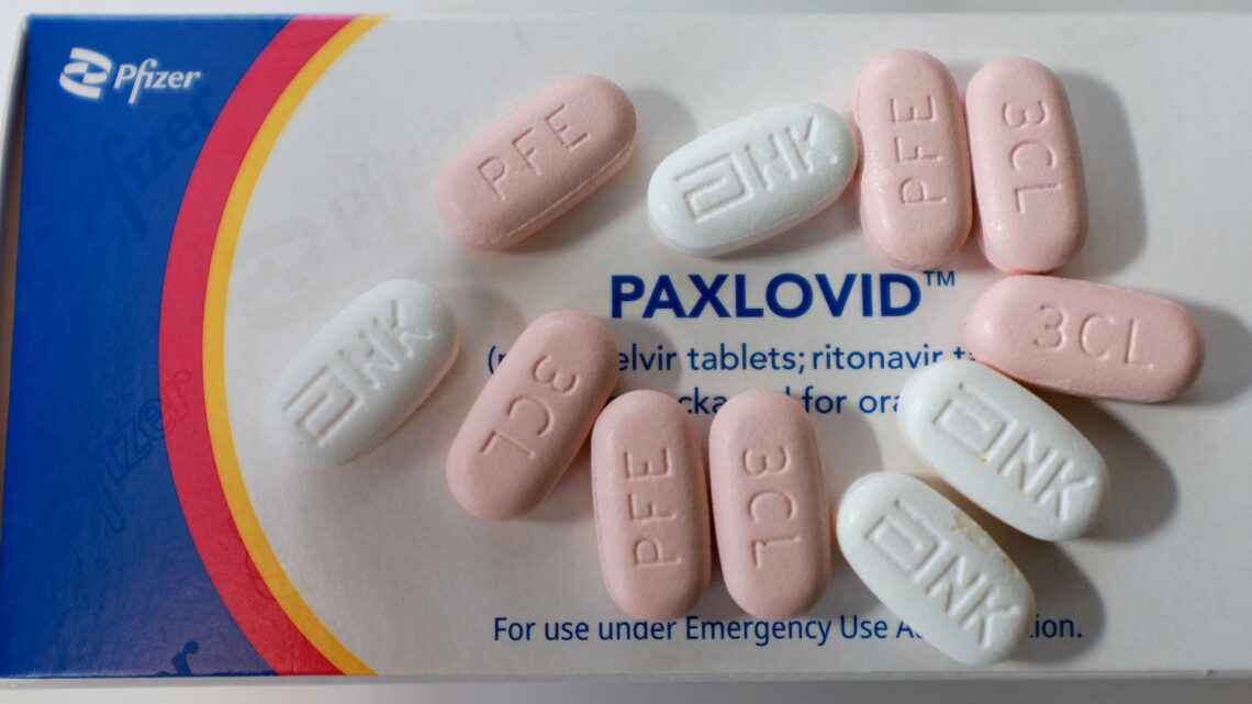 Cofepris aprueba comercialización de Paxlovid para tratar Covid-19