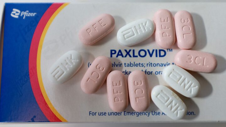 Cofepris aprueba comercialización de Paxlovid para tratar Covid-19