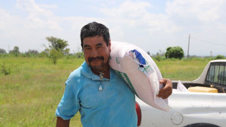 Entrega SEDEA semilla para cultivos forrajeros en Pedro Escobedo y El Marqués