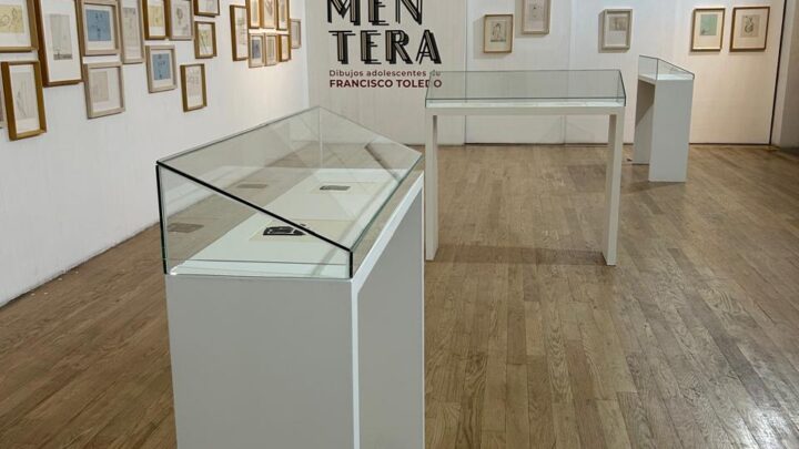 Alistan en el CEART exposición del oaxaqueño Francisco Toledo