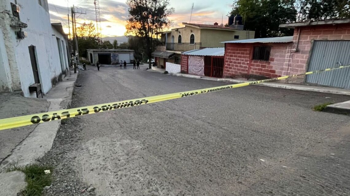 Hombre muere tras ser atacado por un enjambre de abejas en Querétaro