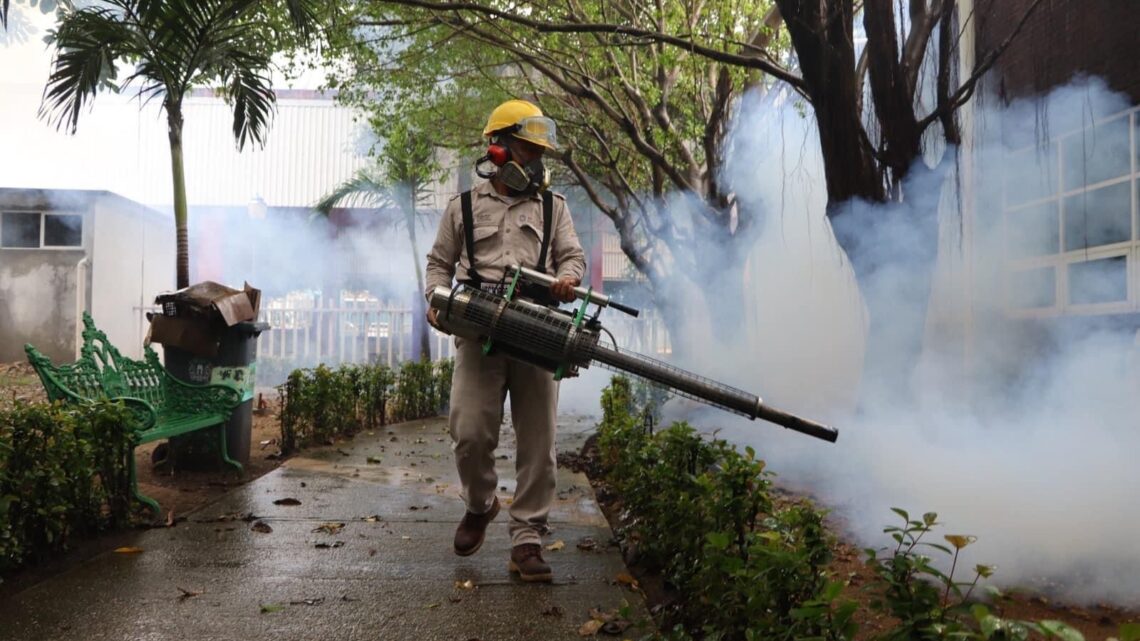México registra 172 muertes por dengue y más de 70 mil casos confirmados