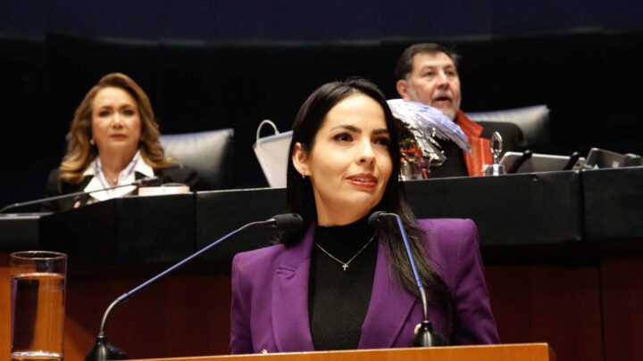 Panistas denuncian despido masivo de mujeres en el Poder Judicial