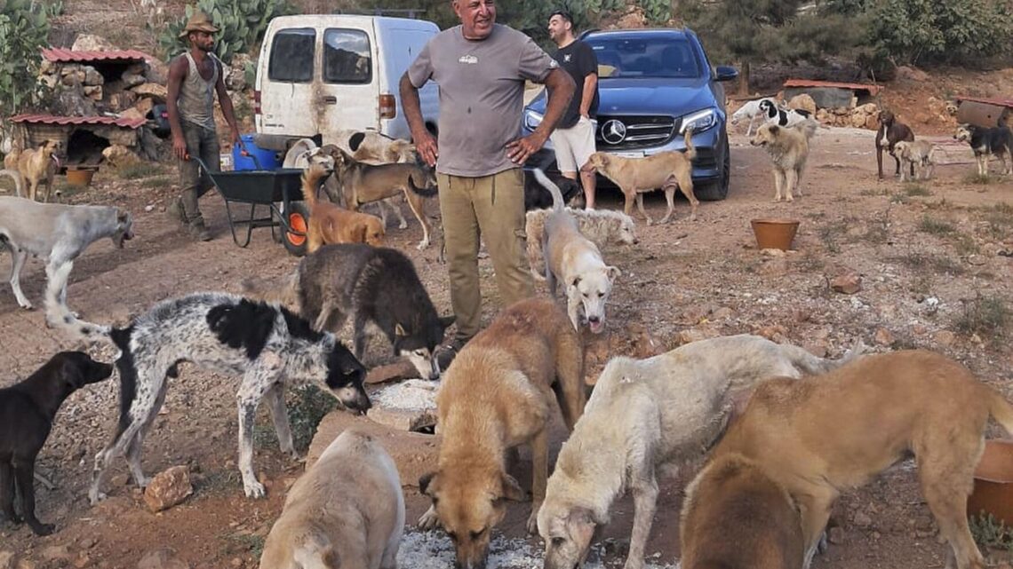 El héroe de los animales en el sur de Líbano: un refugio en medio del conflicto