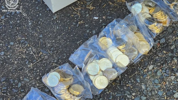 Recuperan 40,000 monedas de “Bluey” robadas en Australia