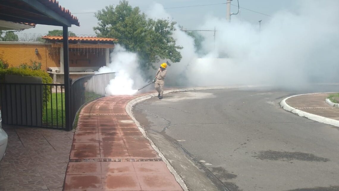 Exhorta SESA a la población a eliminar criaderos de mosquito para el control del dengue