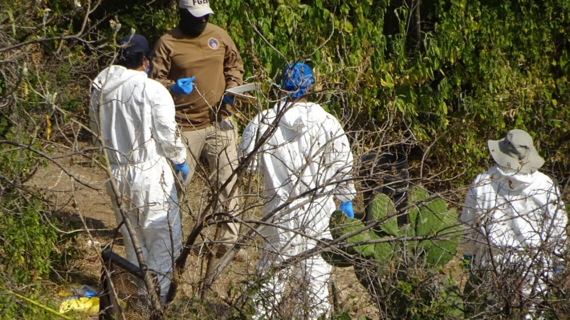 Hallazgo de restos humanos en fosas clandestinas sacude a Guanajuato