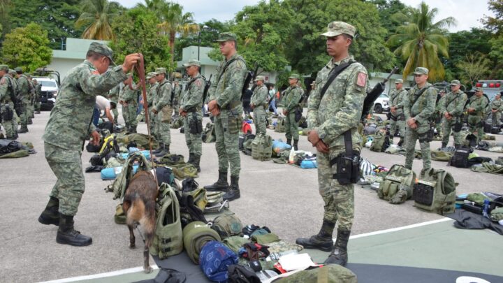 Refuerzan operativo en Tierra Caliente con 200 soldados para proteger limoneros