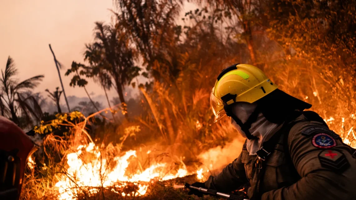 Avance en el control del devastador incendio forestal en Grecia