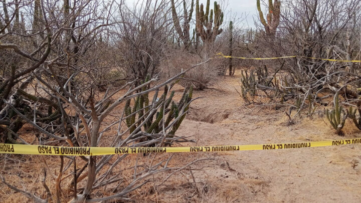 Hallan nuevas fosas clandestinas en Baja California Sur