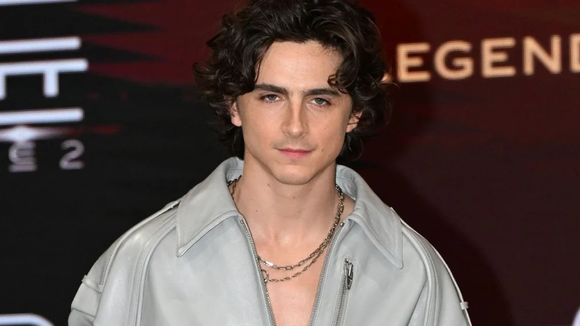 Timothée Chalamet revela prejuicios que marcaron su inicio en Hollywood