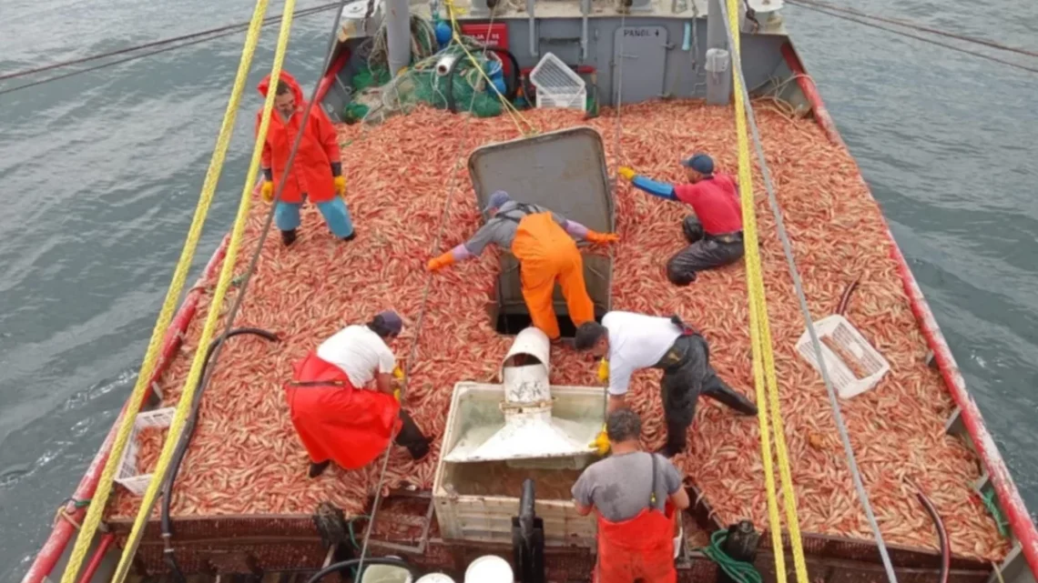 Piratas somalíes exigen 10 millones de dólares por rescate de buque pesquero chino