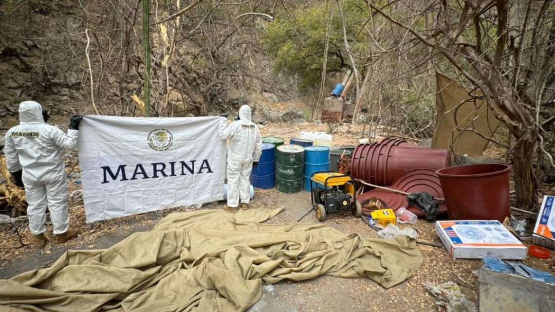Marina desmantela laboratorio clandestino en Sinaloa