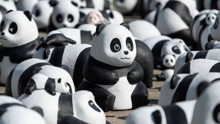 Hong Kong inaugura exposición de 2.500 esculturas de pandas