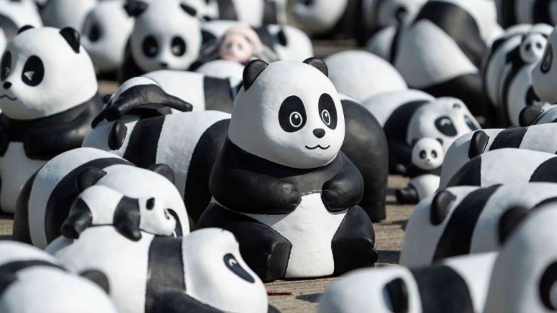 Hong Kong inaugura exposición de 2.500 esculturas de pandas