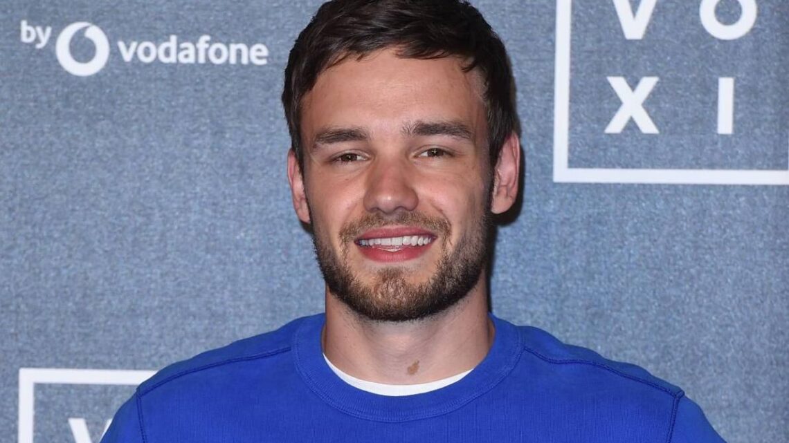 Liam Payne dedicó una canción a Naomi Campbell antes de su trágica muerte   