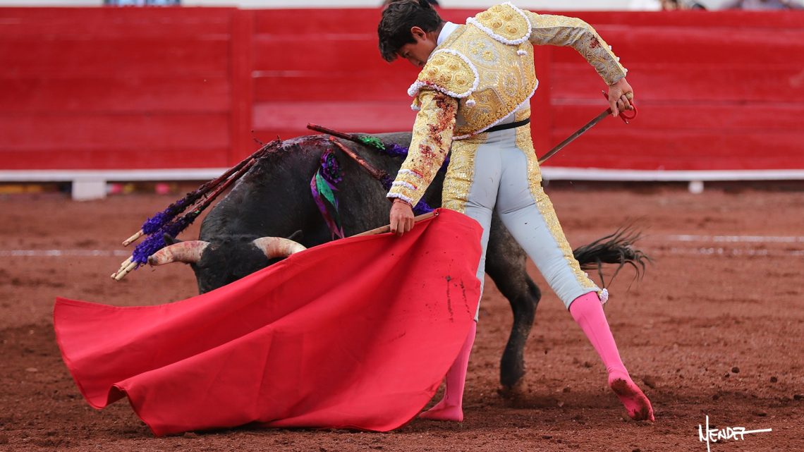 Jueza concede amparo contra corridas de toros en la CDMX