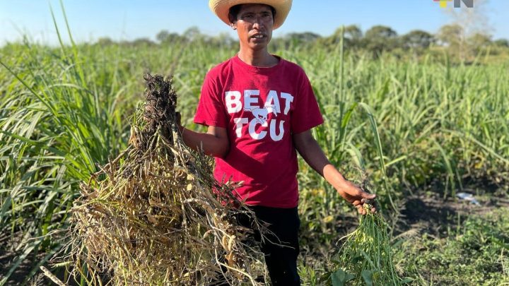 Pobreza en el campo mexicano alcanza su nivel más alto en dos años