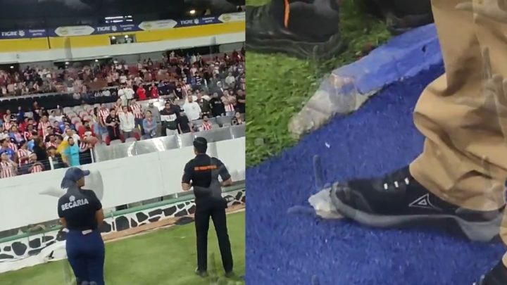 La violencia en los estadios sigue siendo un problema en el futbol mexicano, y este nuevo incidente podría traer consecuencias adicionales para la afición de Chivas.
