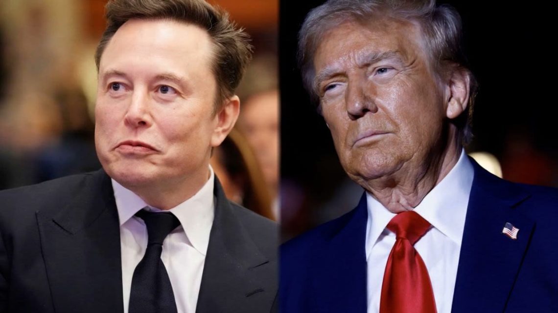 Elon Musk y Peter Navarro han mantenido una guerra abierta con declaraciones cruzadas