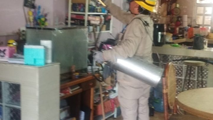 Secretaría de Salud realiza vigilancia epidemiológica del dengue
