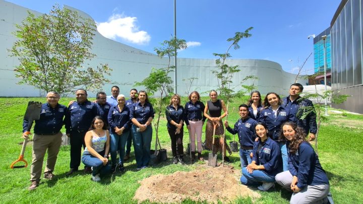 Celebran el Día del Medio Ambiente con reforestación en el Gómez Morin