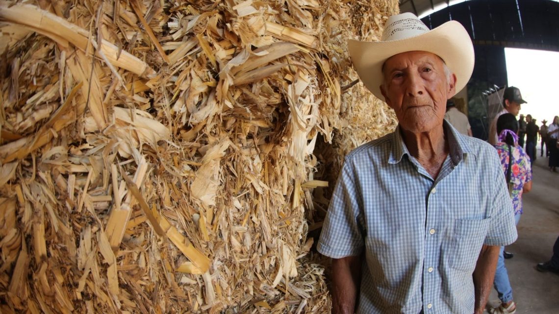 Continúa SEDEA la entrega de forraje en la Sierra Gorda