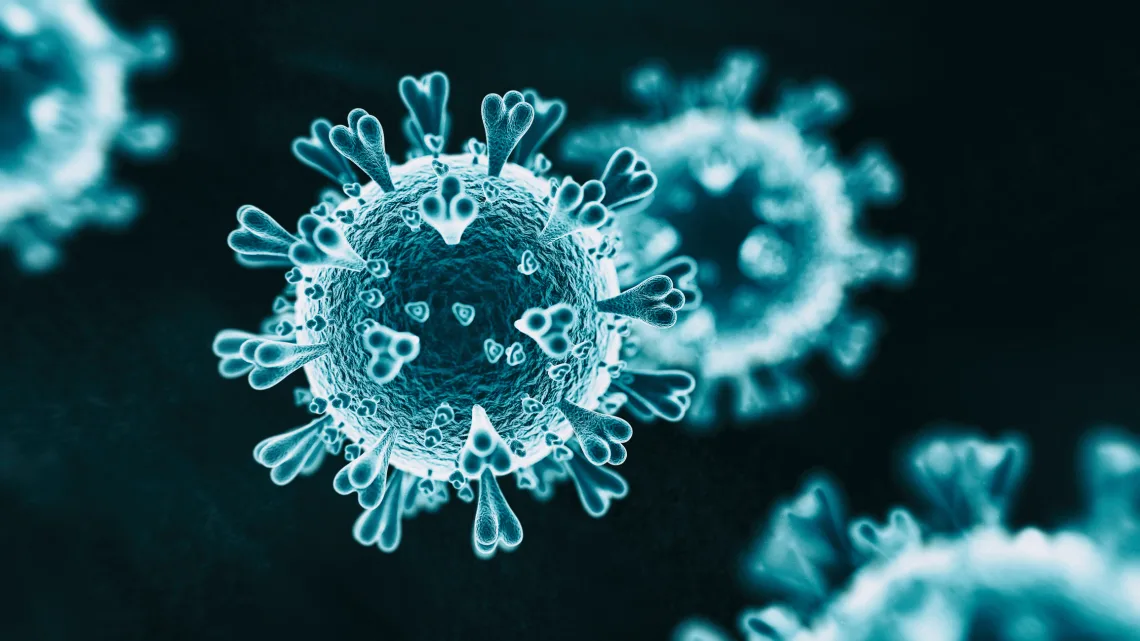 Una nueva subvariante del virus SARS-CoV-2, identificada como NB.1.8.1