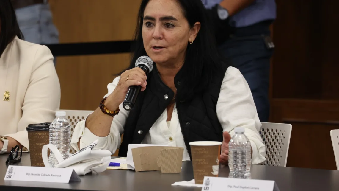 Fundamental coordinar esfuerzos para atender a la población afectada por las recientes lluvias: Tere Calzada