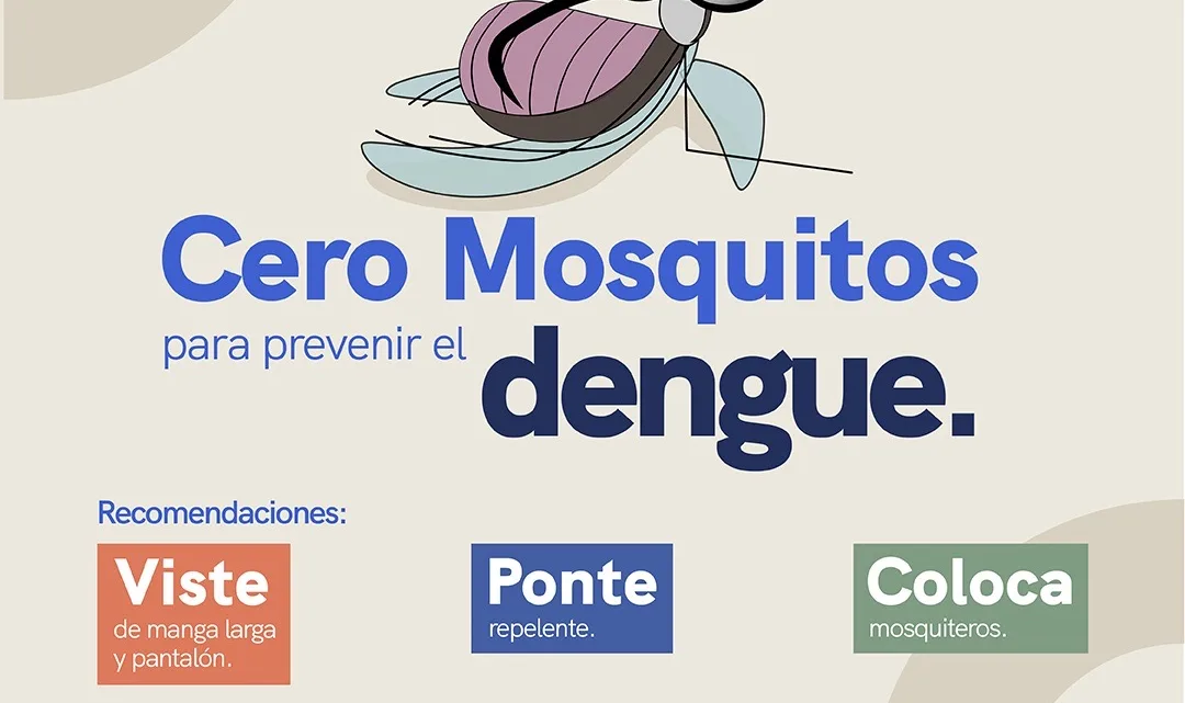 Secretaría de Salud lleva a cabo vigilancia epidemiológica del dengue