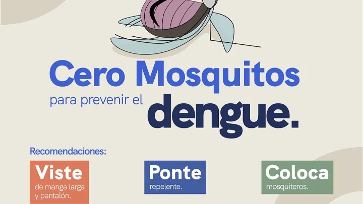 Secretaría de Salud lleva a cabo vigilancia epidemiológica del dengue