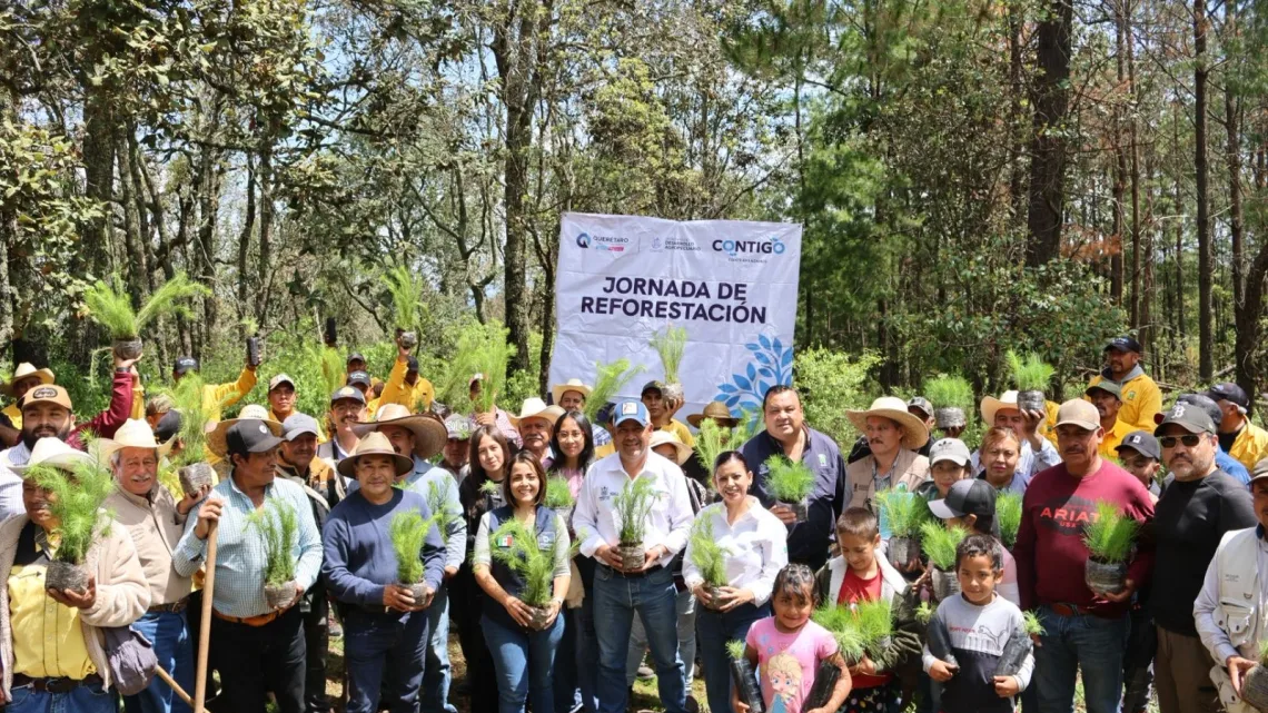 Suman casi 200 mil árboles en reforestación para el Estado: SEDEA