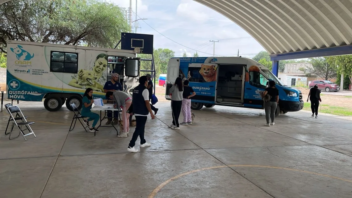 Realiza SESA Jornada de Esterilización Canina y Felina