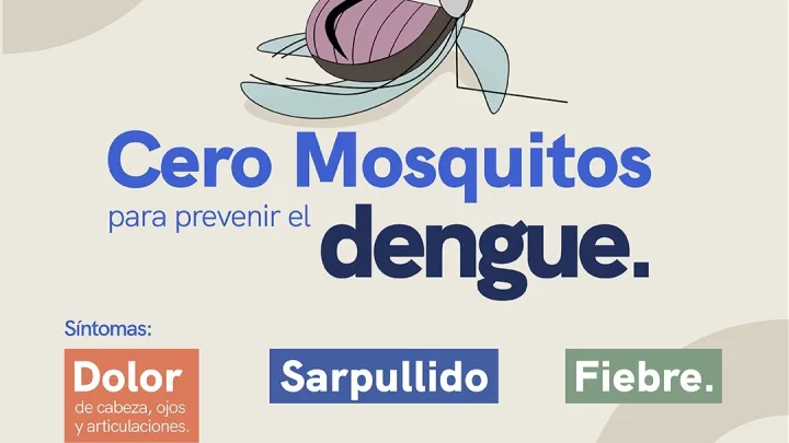 Secretaría de Salud mantiene vigilancia epidemiológica del dengue