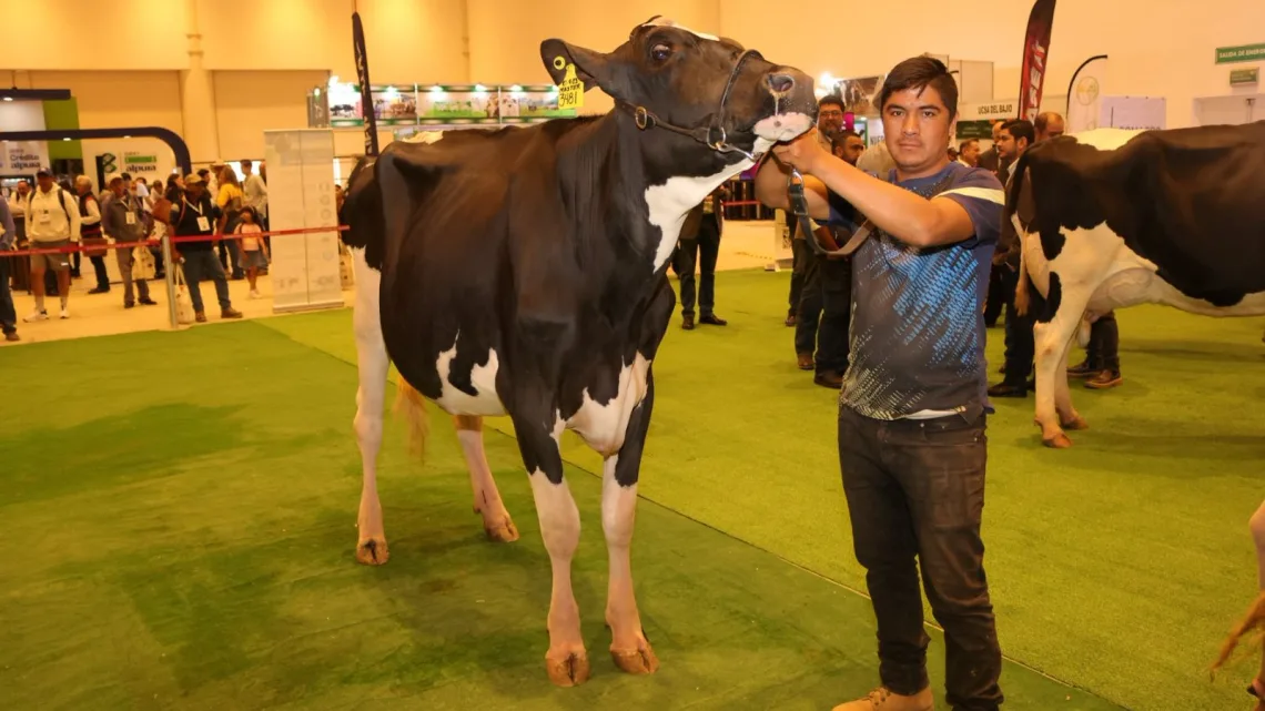 Se lleva a cabo en Querétaro el décimo tercer Foro Nacional Holstein