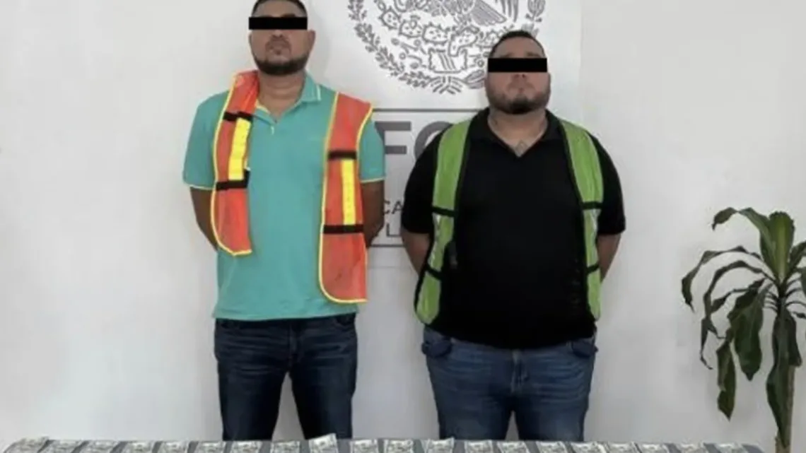 Elementos de Defensa, Semar, FGR, SSPC y autoridades de Nuevo León realizaron tres operativos distintos en la región con resultado de nueve personas detenidas
