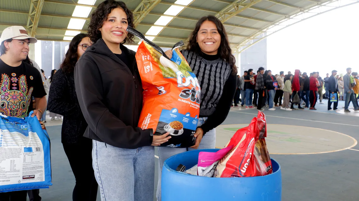Dona comunidad UTC alimento para perro