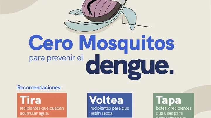Llama Secretaría de Salud a la prevención para combatir el dengue